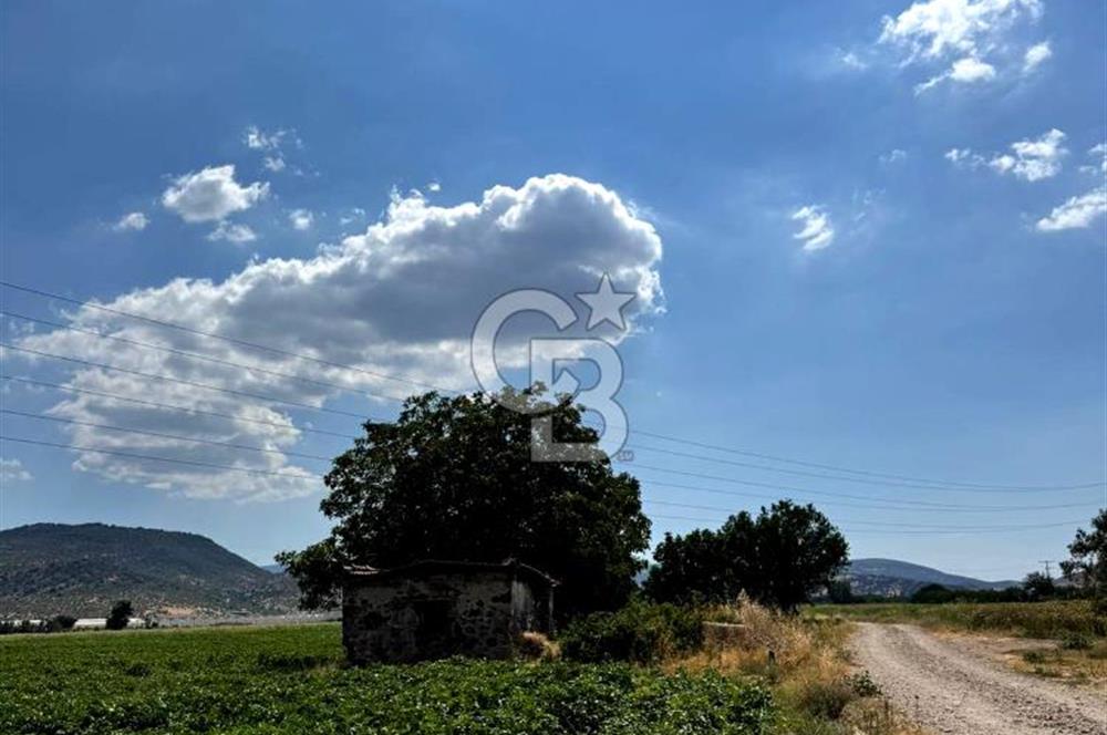 Dikili merkeze yakın 210m2 tarla