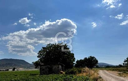 Dikili merkeze yakın 210m2 tarla