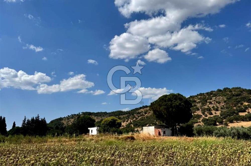 Dikili merkeze yakın 210m2 tarla