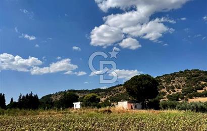 Dikili merkeze yakın 210m2 tarla