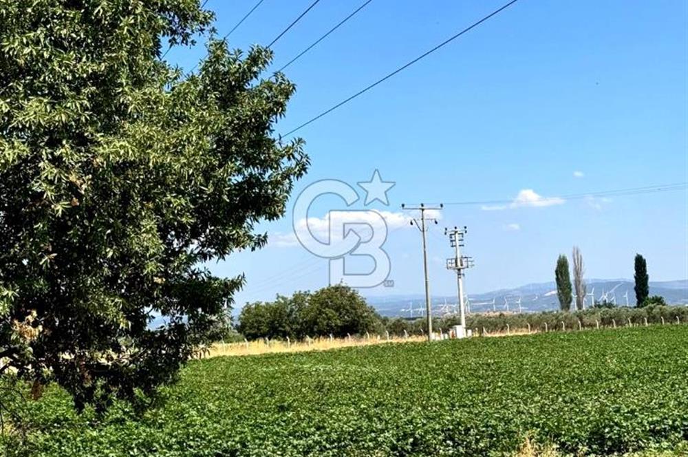 Dikili merkeze yakın 210m2 tarla