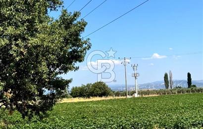 Dikili merkeze yakın 210m2 tarla