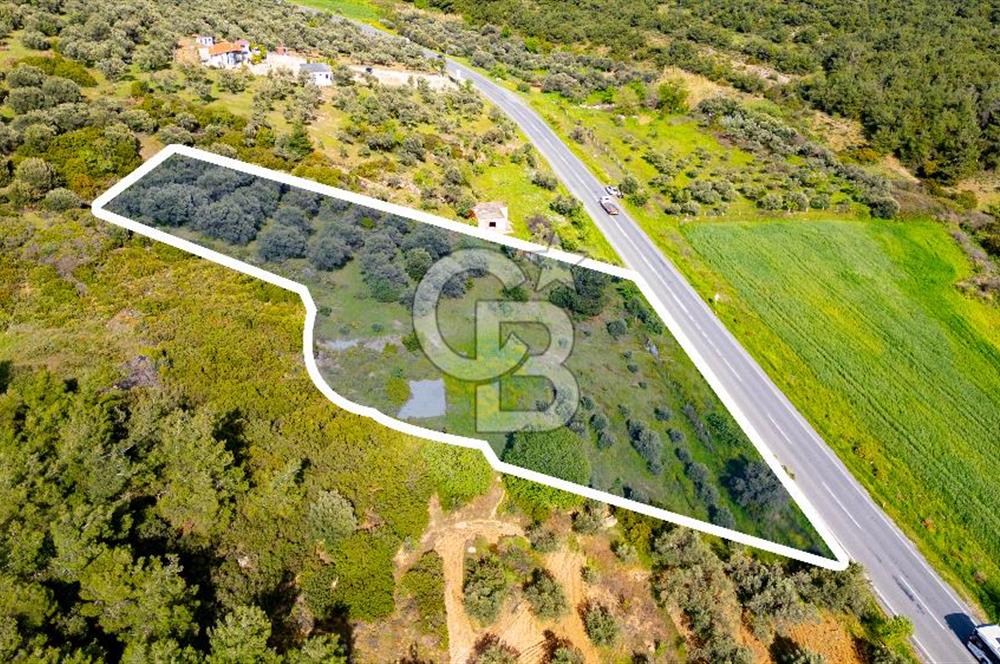 Foça Ilıpınar'da Satılık 4653 m2 Tarla