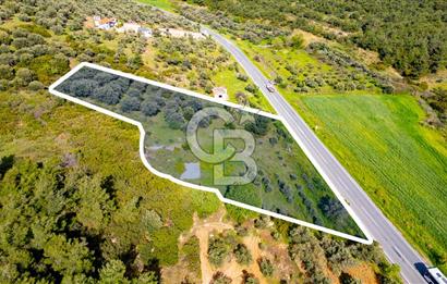 Foça Ilıpınar'da Satılık 4653 m2 Tarla