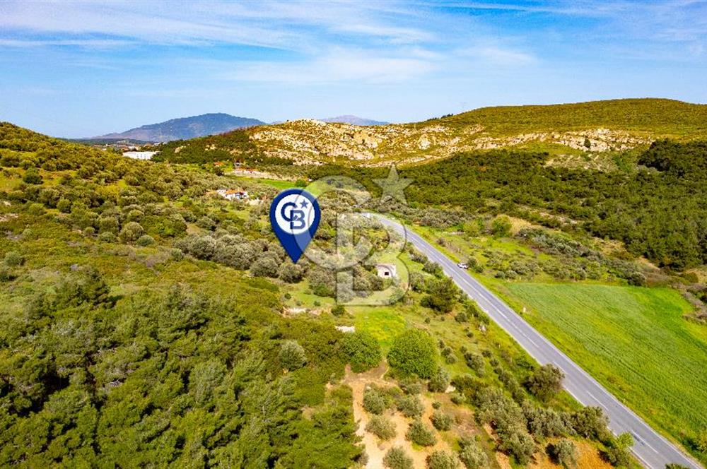 Foça Ilıpınar'da Satılık 4653 m2 Tarla