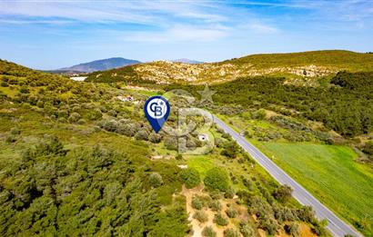 Foça Ilıpınar'da Satılık 4653 m2 Tarla