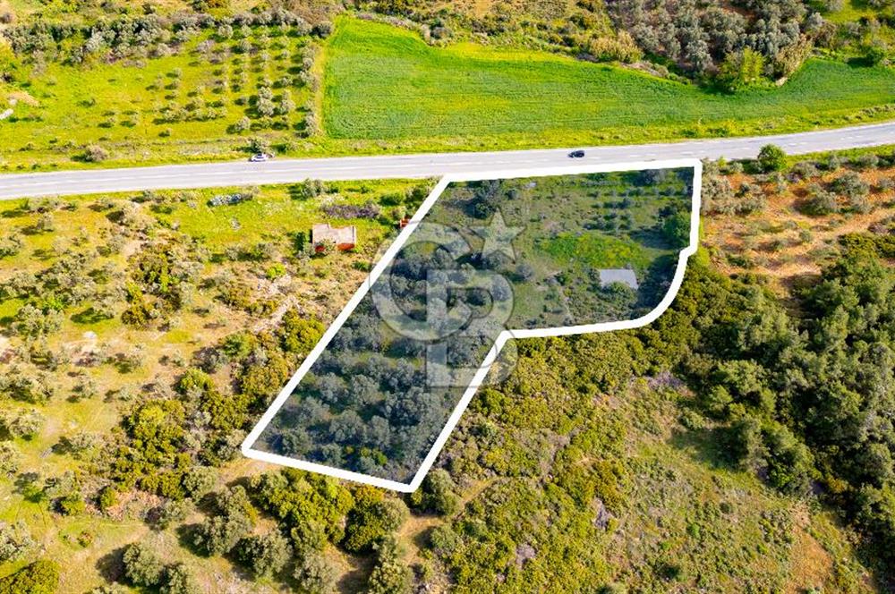 Foça Ilıpınar'da Satılık 4653 m2 Tarla