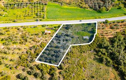 Foça Ilıpınar'da Satılık 4653 m2 Tarla