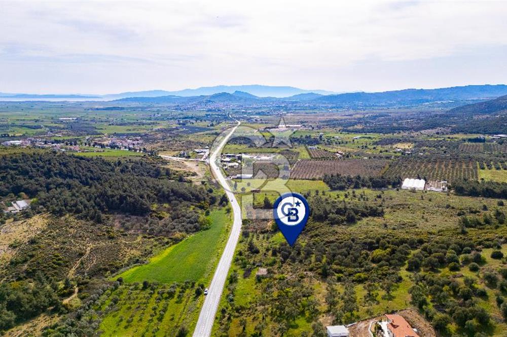 Foça Ilıpınar'da Satılık 4653 m2 Tarla