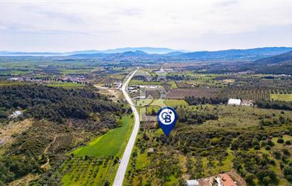 Foça Ilıpınar'da Satılık 4653 m2 Tarla