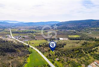 Foça Ilıpınar'da Satılık 4653 m2 Tarla