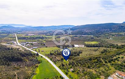 Foça Ilıpınar'da Satılık 4653 m2 Tarla