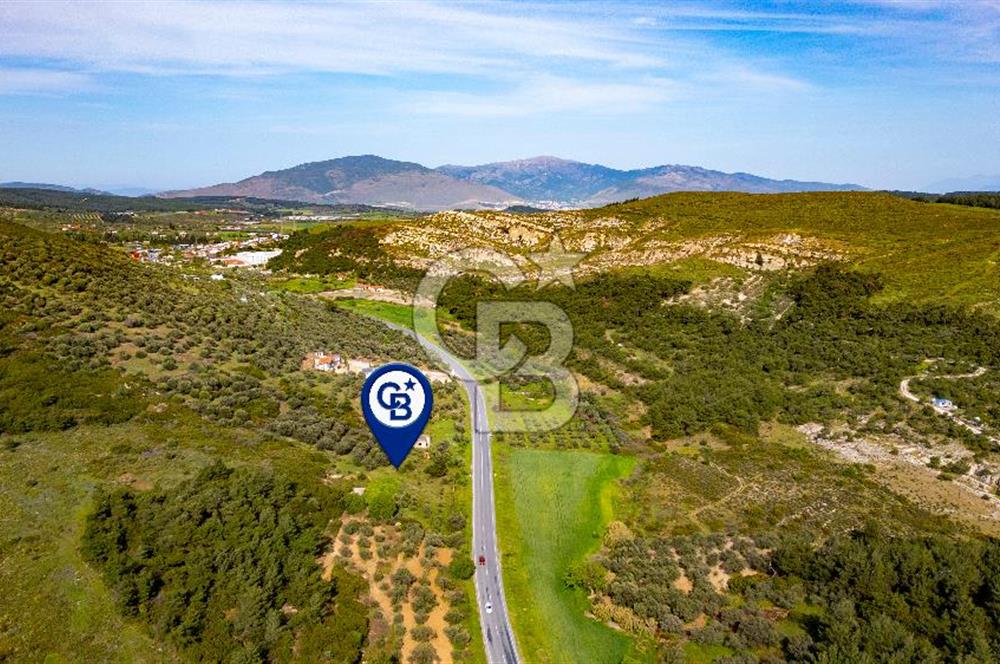 Foça Ilıpınar'da Satılık 4653 m2 Tarla