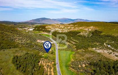 Foça Ilıpınar'da Satılık 4653 m2 Tarla