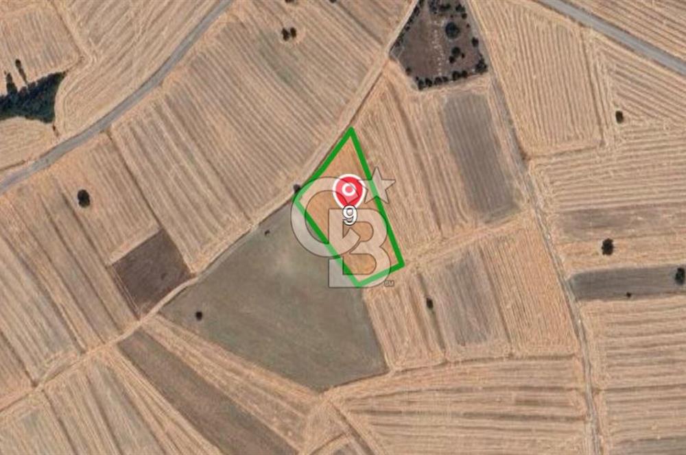 KÜTAHYA MERKEZ ÇAVUŞÇİFTLİĞİ KÖYÜ 5641 M2 SATILIK TARLA
