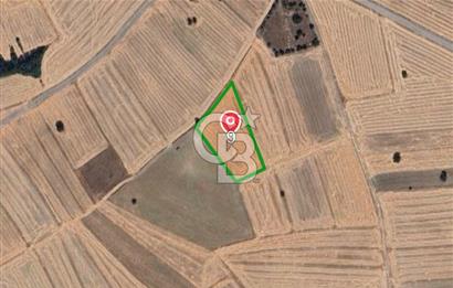 KÜTAHYA MERKEZ ÇAVUŞÇİFTLİĞİ KÖYÜ 5641 M2 SATILIK TARLA