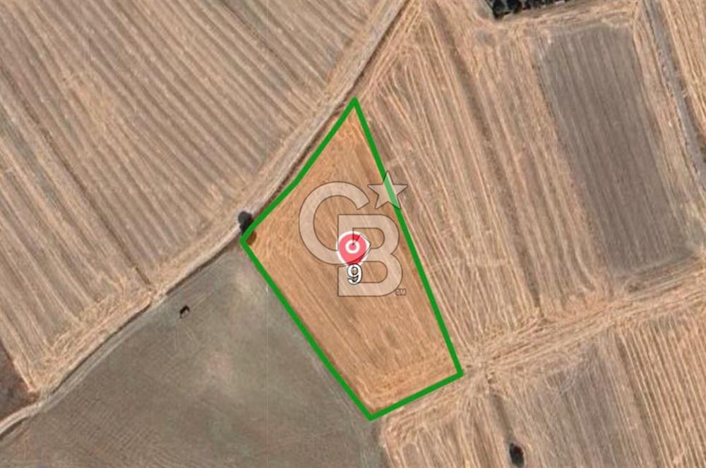 KÜTAHYA MERKEZ ÇAVUŞÇİFTLİĞİ KÖYÜ 5641 M2 SATILIK TARLA