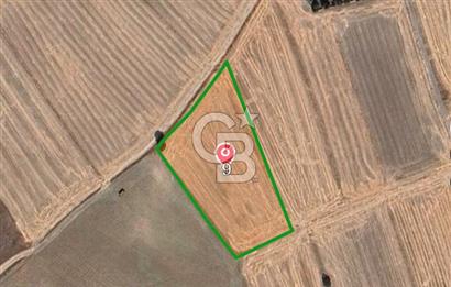 KÜTAHYA MERKEZ ÇAVUŞÇİFTLİĞİ KÖYÜ 5641 M2 SATILIK TARLA