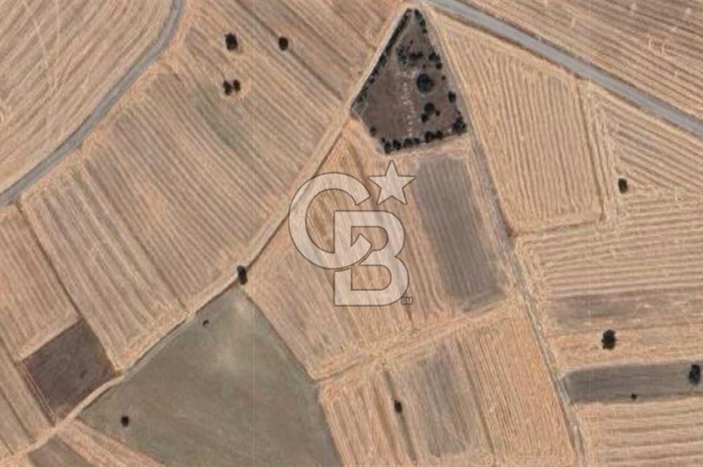 KÜTAHYA MERKEZ ÇAVUŞÇİFTLİĞİ KÖYÜ 5641 M2 SATILIK TARLA