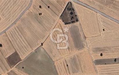 KÜTAHYA MERKEZ ÇAVUŞÇİFTLİĞİ KÖYÜ 5641 M2 SATILIK TARLA