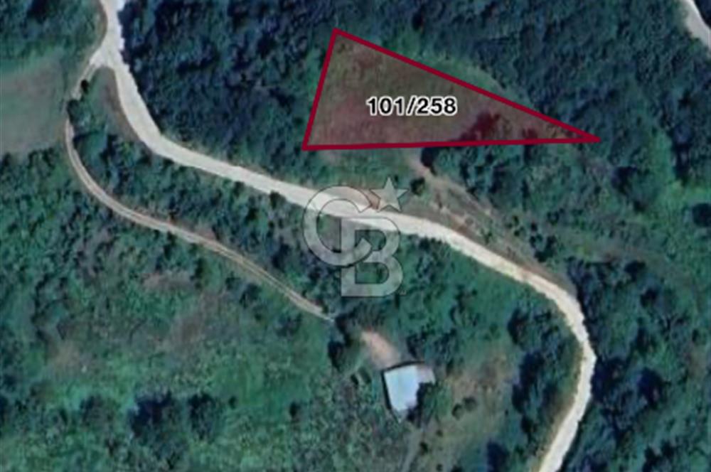 KOCAELİ KARTEPE SATILIK 1287 MT2 TARLA