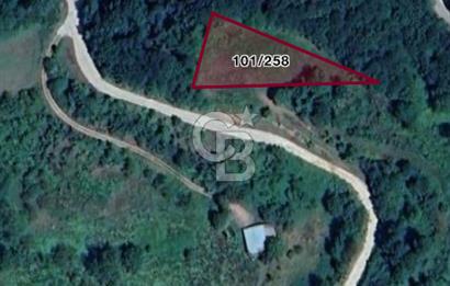 KOCAELİ KARTEPE SATILIK 1287 MT2 TARLA