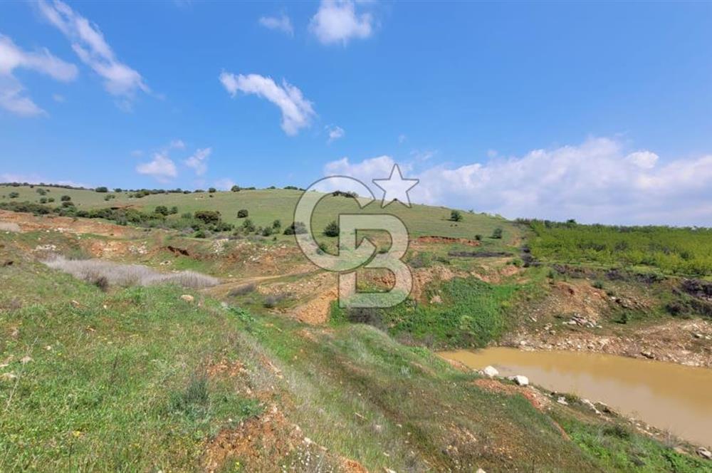 İZMİR ÖDEMİŞ BADEMLİ'DE SATILIK 40 DÖNÜM ÖZEL NİTELİKLİ ARAZİ – GÖLET, ZEYTİNLİK, MEYVE BAHÇESİ VE TURİZM POTANSİYELİ BİR ARADA!