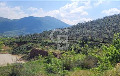 İZMİR ÖDEMİŞ BADEMLİ'DE SATILIK 40 DÖNÜM ÖZEL NİTELİKLİ ARAZİ – GÖLET, ZEYTİNLİK, MEYVE BAHÇESİ VE TURİZM POTANSİYELİ BİR ARADA!