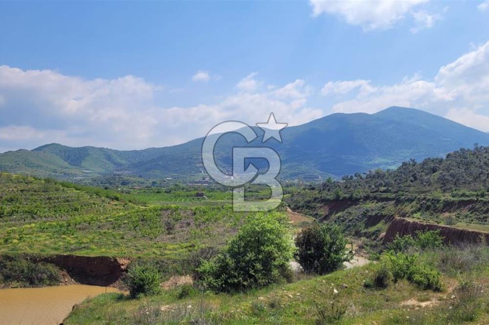 İZMİR ÖDEMİŞ BADEMLİ'DE SATILIK 40 DÖNÜM ÖZEL NİTELİKLİ ARAZİ – GÖLET, ZEYTİNLİK, MEYVE BAHÇESİ VE TURİZM POTANSİYELİ BİR ARADA!