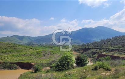 İZMİR ÖDEMİŞ BADEMLİ'DE SATILIK 40 DÖNÜM ÖZEL NİTELİKLİ ARAZİ – GÖLET, ZEYTİNLİK, MEYVE BAHÇESİ VE TURİZM POTANSİYELİ BİR ARADA!