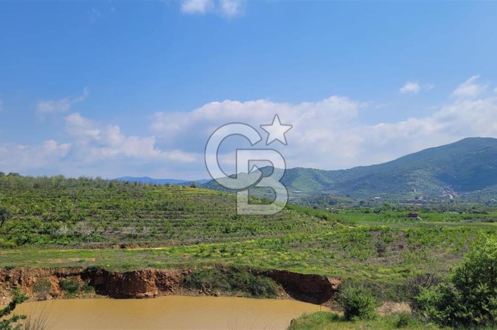 İZMİR ÖDEMİŞ BADEMLİ'DE SATILIK 40 DÖNÜM ÖZEL NİTELİKLİ ARAZİ – GÖLET, ZEYTİNLİK, MEYVE BAHÇESİ VE TURİZM POTANSİYELİ BİR ARADA!