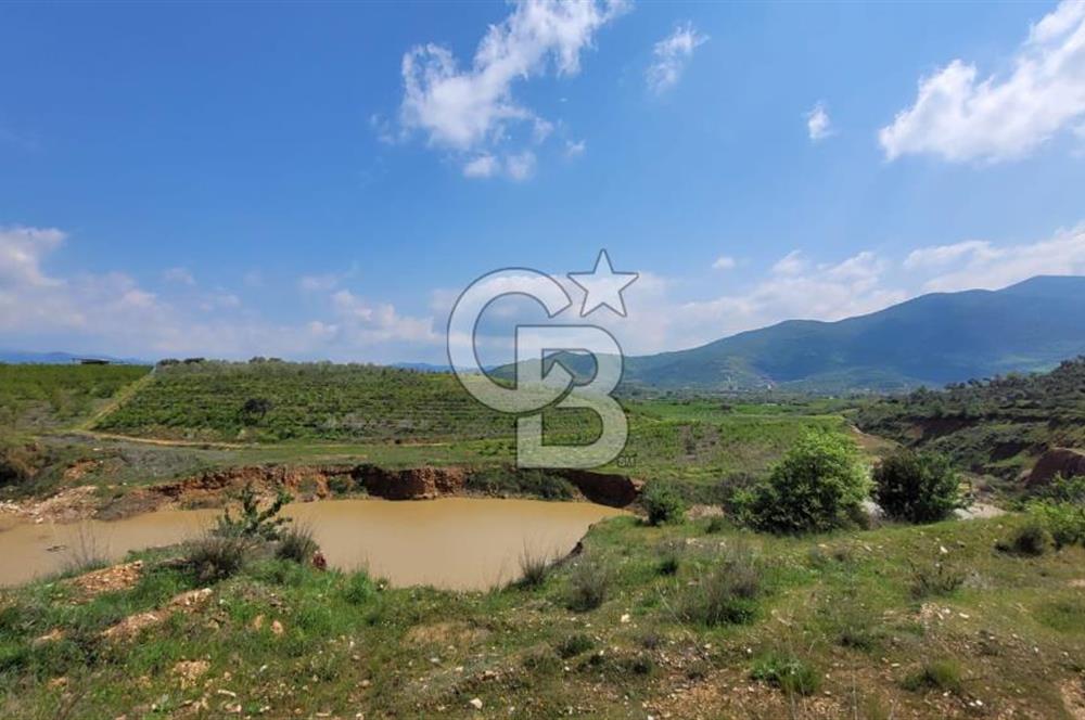 İZMİR ÖDEMİŞ BADEMLİ'DE SATILIK 40 DÖNÜM ÖZEL NİTELİKLİ ARAZİ – GÖLET, ZEYTİNLİK, MEYVE BAHÇESİ VE TURİZM POTANSİYELİ BİR ARADA!