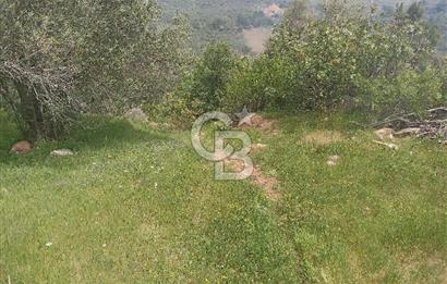 ÇANAKKALE AYVACIK KAYALAR KÖYÜ’NDE PANORAMİK DENİZ MANZARALI ZEYTİNLİK – DOĞANIN KALBİNDE YATIRIM FIRSATI