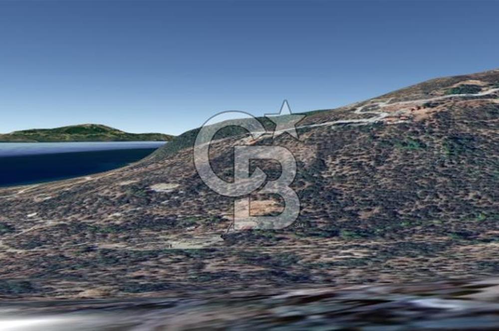 ÇANAKKALE AYVACIK KAYALAR KÖYÜ’NDE PANORAMİK DENİZ MANZARALI ZEYTİNLİK – DOĞANIN KALBİNDE YATIRIM FIRSATI
