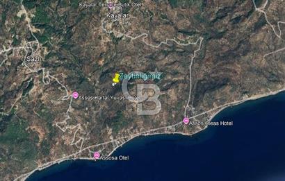 ÇANAKKALE AYVACIK KAYALAR KÖYÜ’NDE PANORAMİK DENİZ MANZARALI ZEYTİNLİK – DOĞANIN KALBİNDE YATIRIM FIRSATI