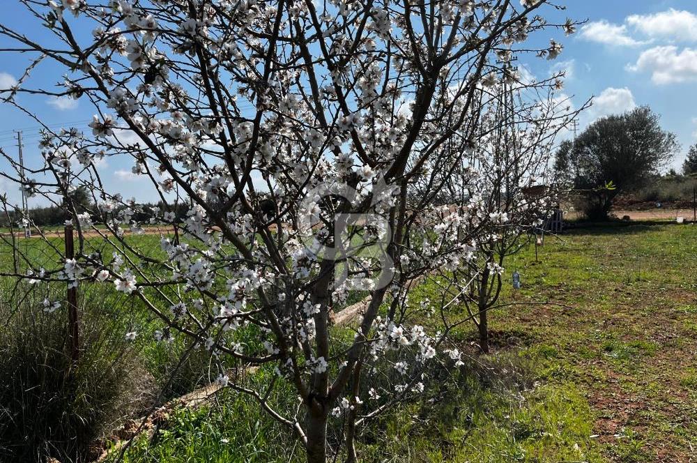 DÖŞEMEALTI ALTINKALE 'DE VİLLA ARSASI 