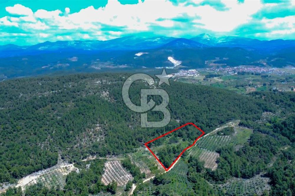 Muğla Menteşe Kafaca'da Satılık Tarla