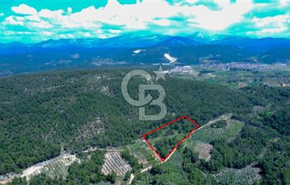 Muğla Menteşe Kafaca'da Satılık Tarla