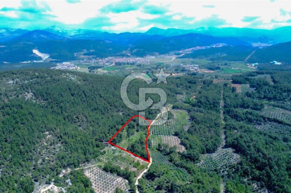 Muğla Menteşe Kafaca'da Satılık Tarla