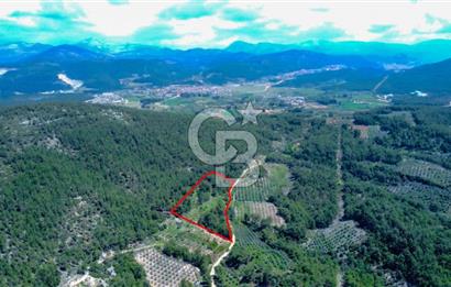 Muğla Menteşe Kafaca'da Satılık Tarla