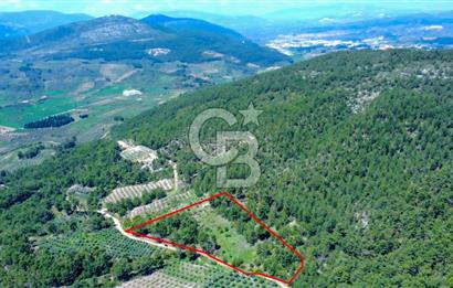 Muğla Menteşe Kafaca'da Satılık Tarla