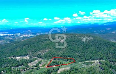 Muğla Menteşe Kafaca'da Satılık Tarla