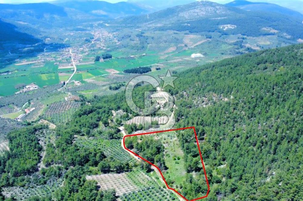 Muğla Menteşe Kafaca'da Satılık Tarla