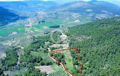 Muğla Menteşe Kafaca'da Satılık Tarla