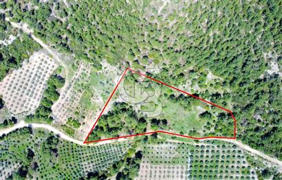 Muğla Menteşe Kafaca'da Satılık Tarla