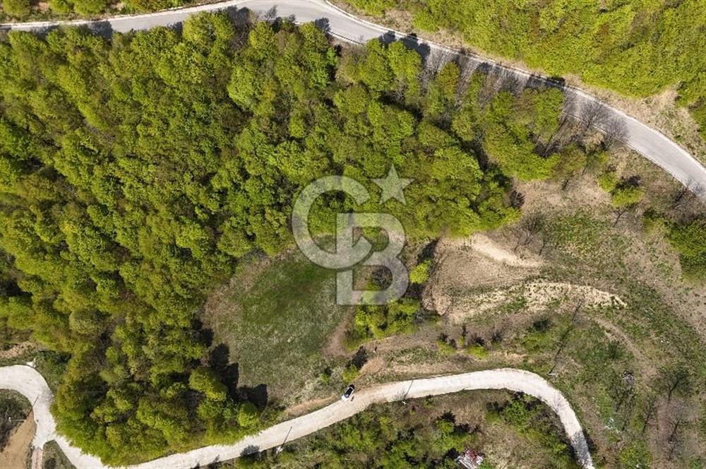 KOCAELİ KARTEPE SATILIK 1287 MT2 TARLA