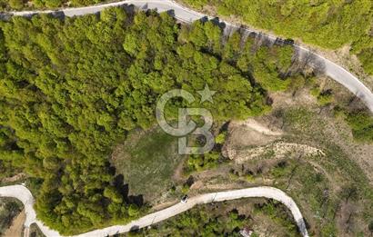 KOCAELİ KARTEPE SATILIK 1287 MT2 TARLA