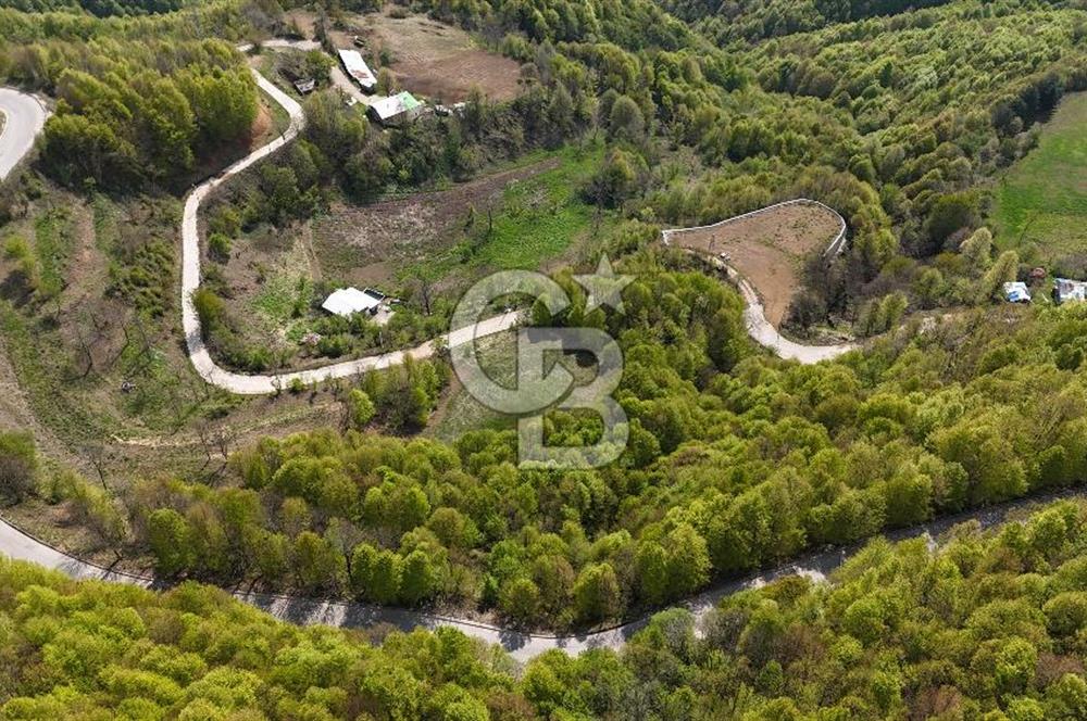 KOCAELİ KARTEPE SATILIK 1287 MT2 TARLA