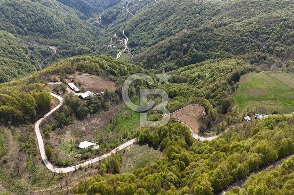 KOCAELİ KARTEPE SATILIK 1287 MT2 TARLA