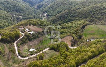 KOCAELİ KARTEPE SATILIK 1287 MT2 TARLA